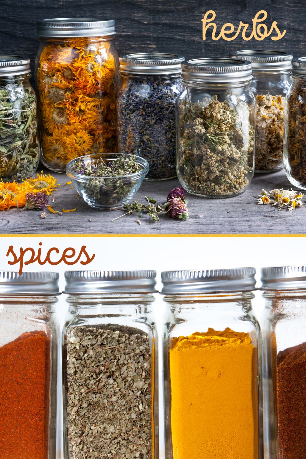 A collage depicting herbs vs spices