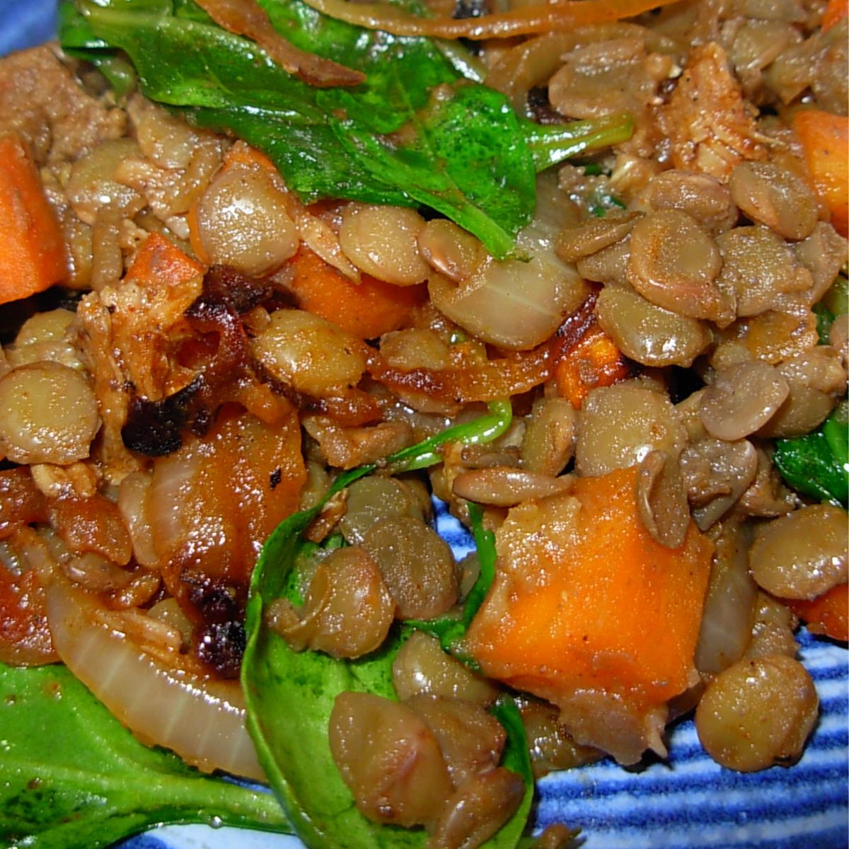 Lamb and lentil stew with caramelized onions, carrots, and spinach leaves.