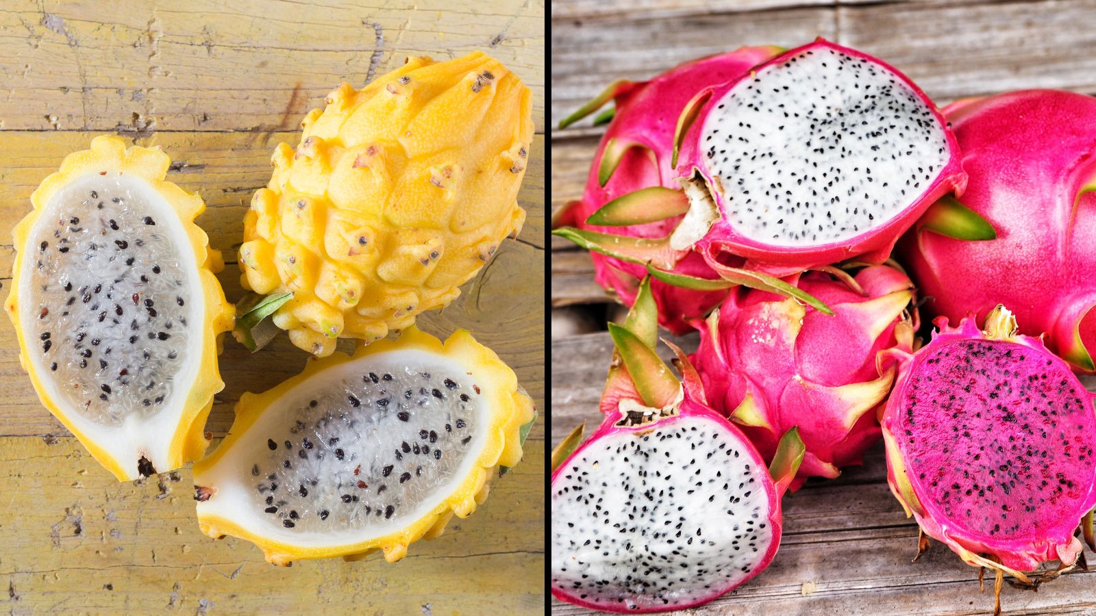 different types of dragon fruit: red, white and yellow. 