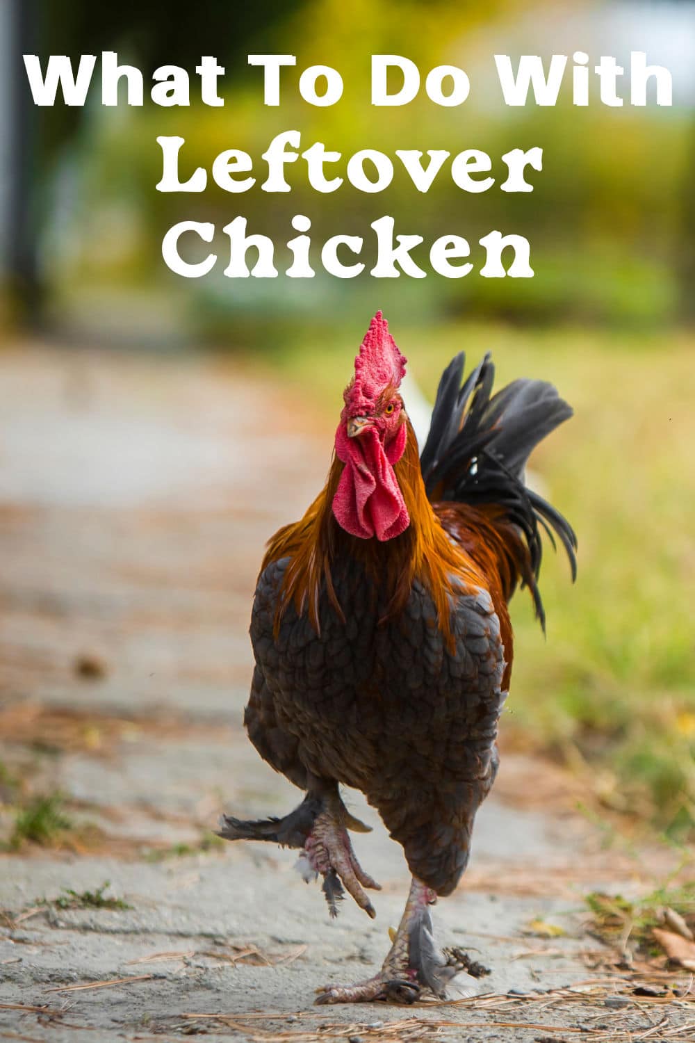 Ideas for using leftover chicken
