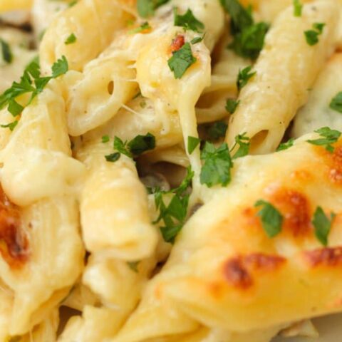 chicken and mushroom pasta bake
