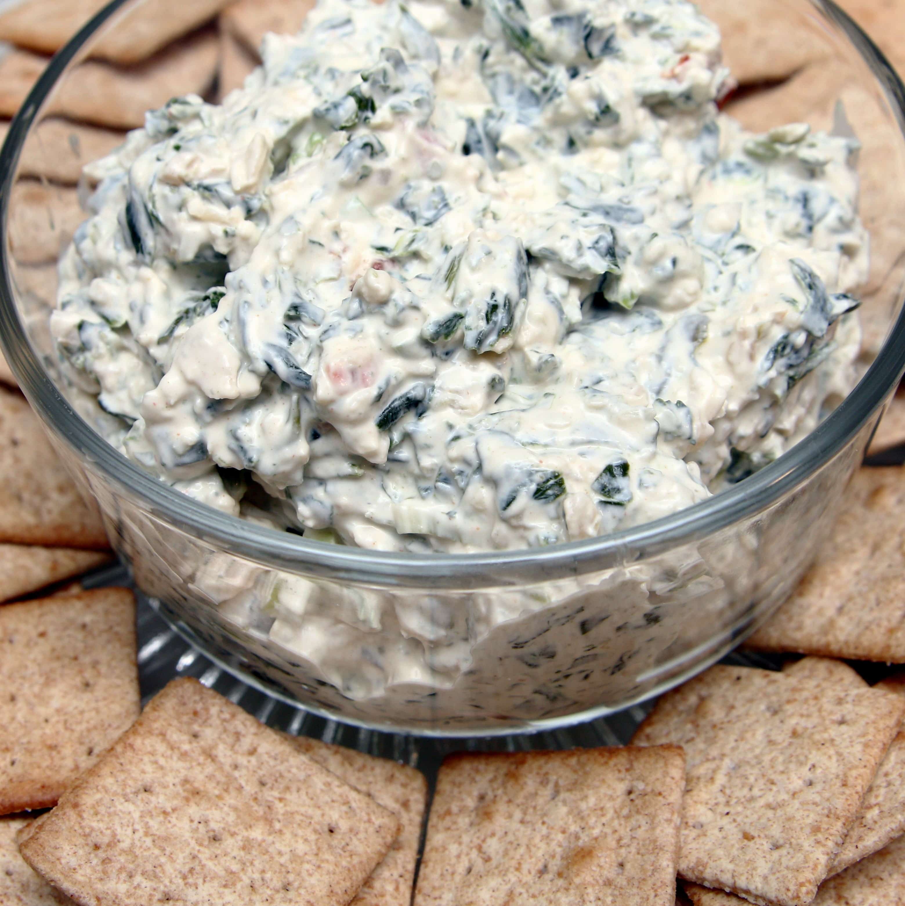 Knorr Vegetable Sour Cream Dip