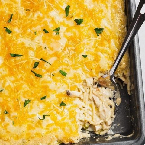 turkey tetrazzini
