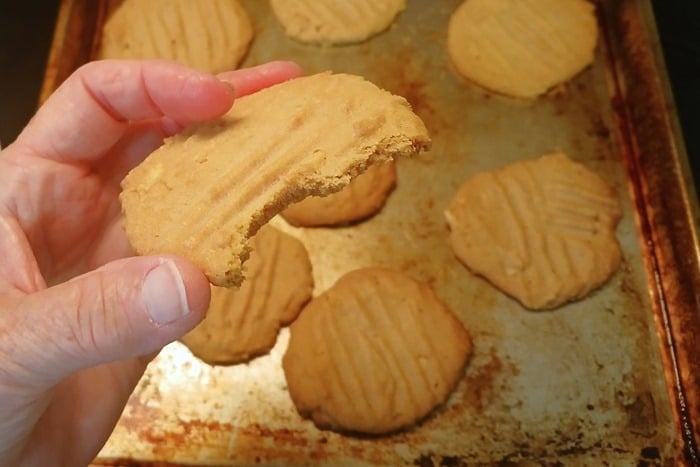 eating homemade peanut butter and cookies