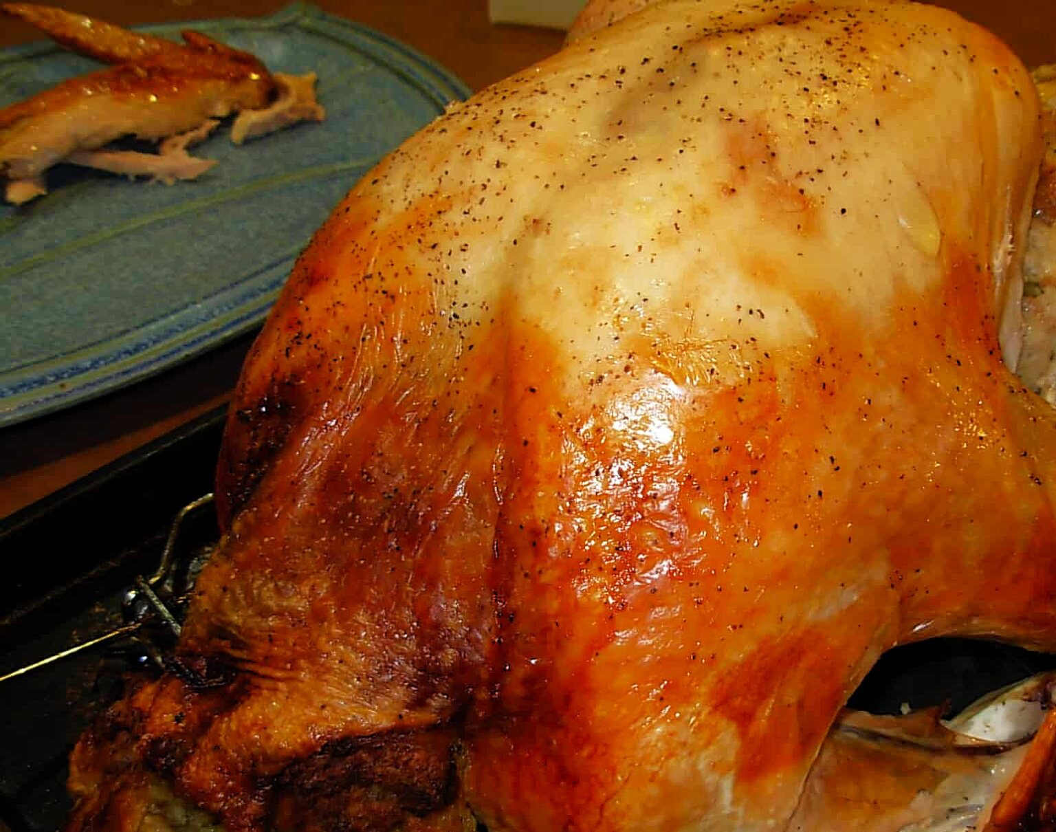 how to cook a turkey in an electric roaster