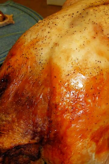 how to cook a turkey in an electric roaster