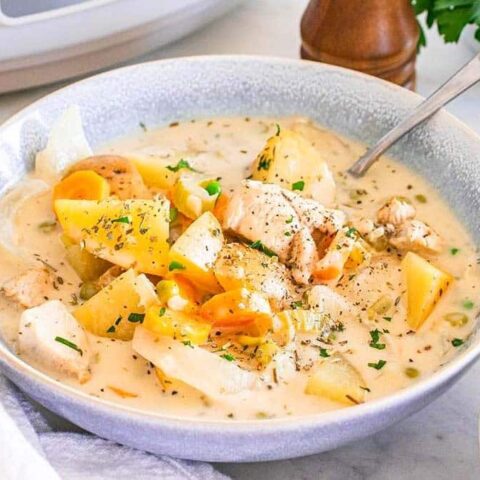 slow cooker chicken stew