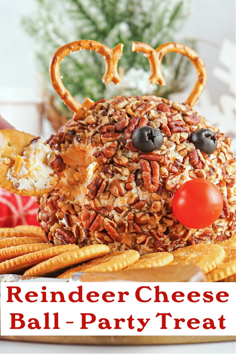 Rudolph cheese ball party or holiday appetizer