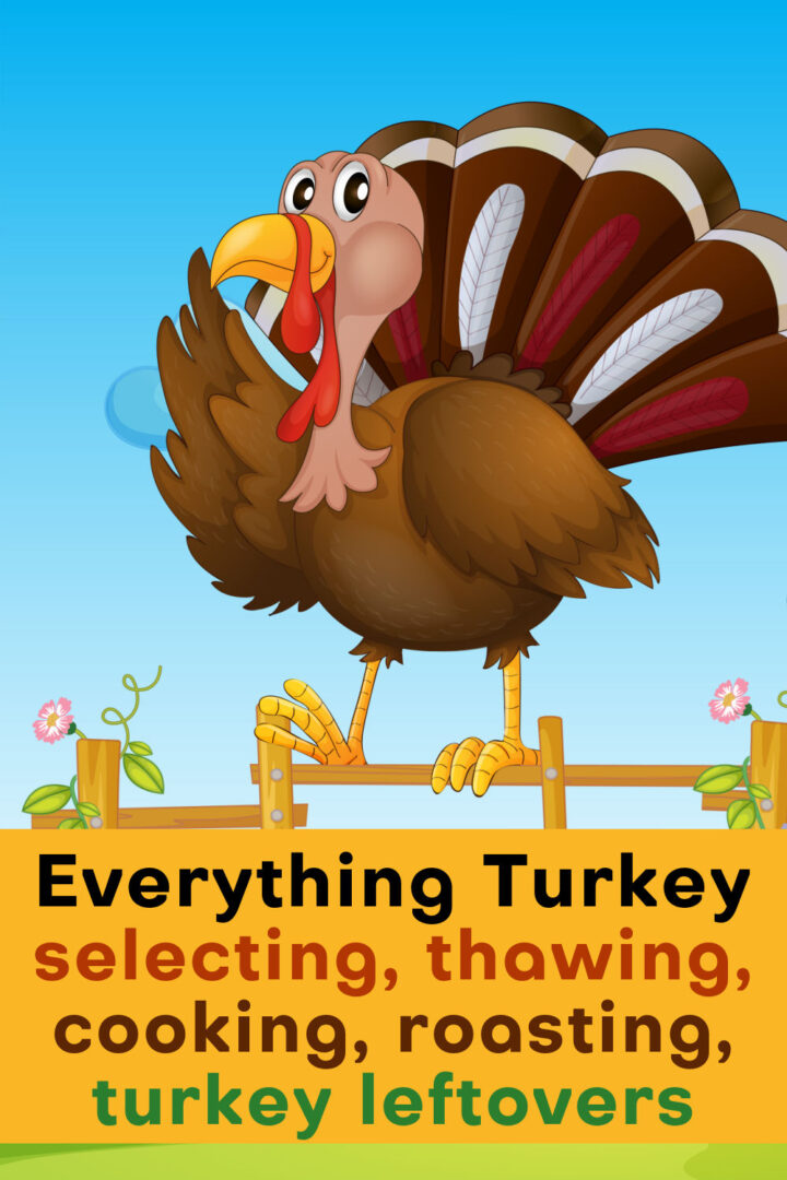 how to buy and cook a turkey