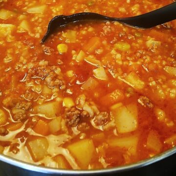 ground beef vegetable soup with diced potatoes and seasonings