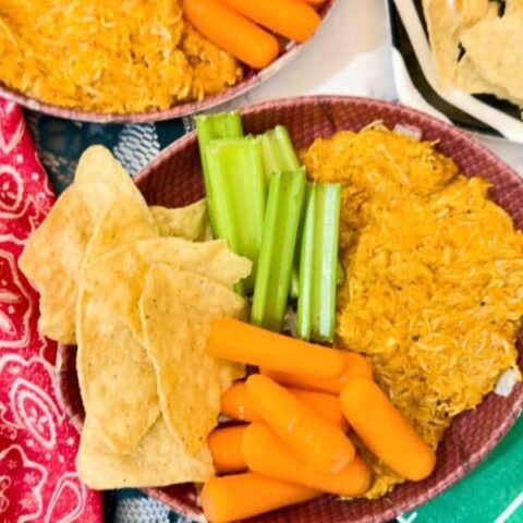 buffalo chicken dip