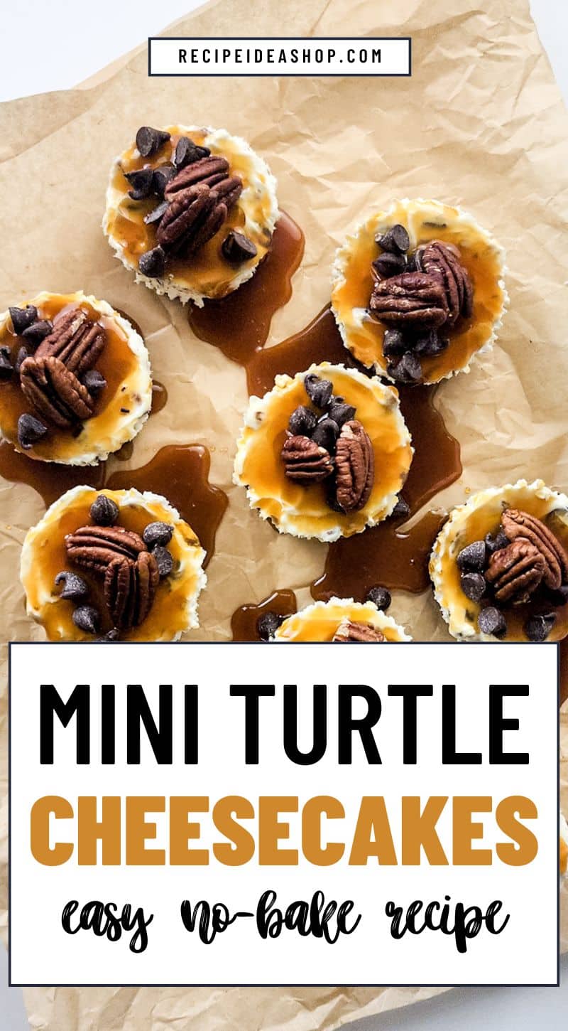 vertical image with no bake mini turtle cheesecakes