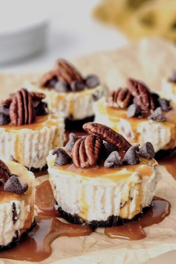 top view of mini turtle cheesecakes