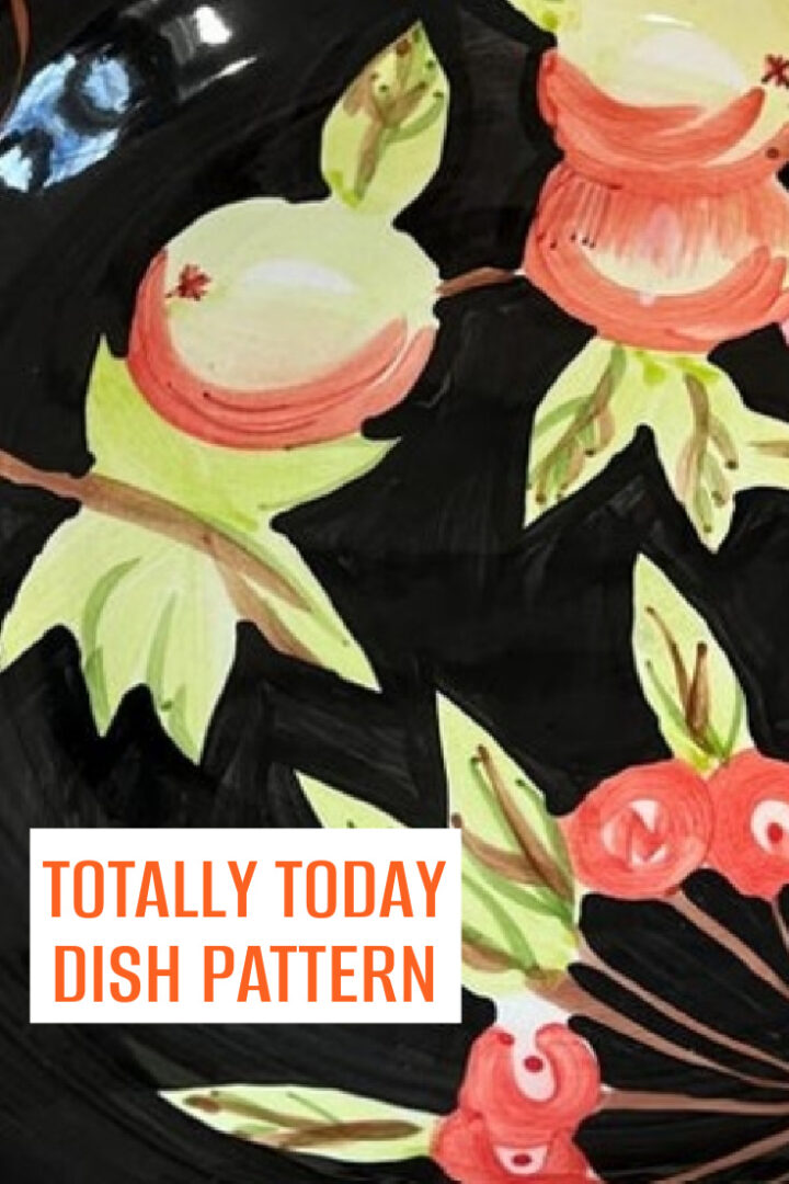 Totally Today was a dinnerware brand known for its wide array of decorative patterns, many of which have been discontinued and are now sought after by collectors. Among these, the black dishes adorned with fruit patterns stand out for their distinctive design.