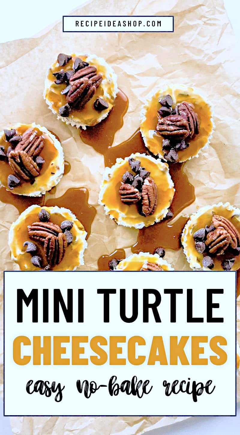 serve miniature turtle cheesecakes with pecans and chocolate chips at your next party