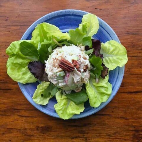 A blue plate with leafy green lettuce arranged around a scoop of creamy rotisserie chicken salad topped with a pecan, set on a wooden table.