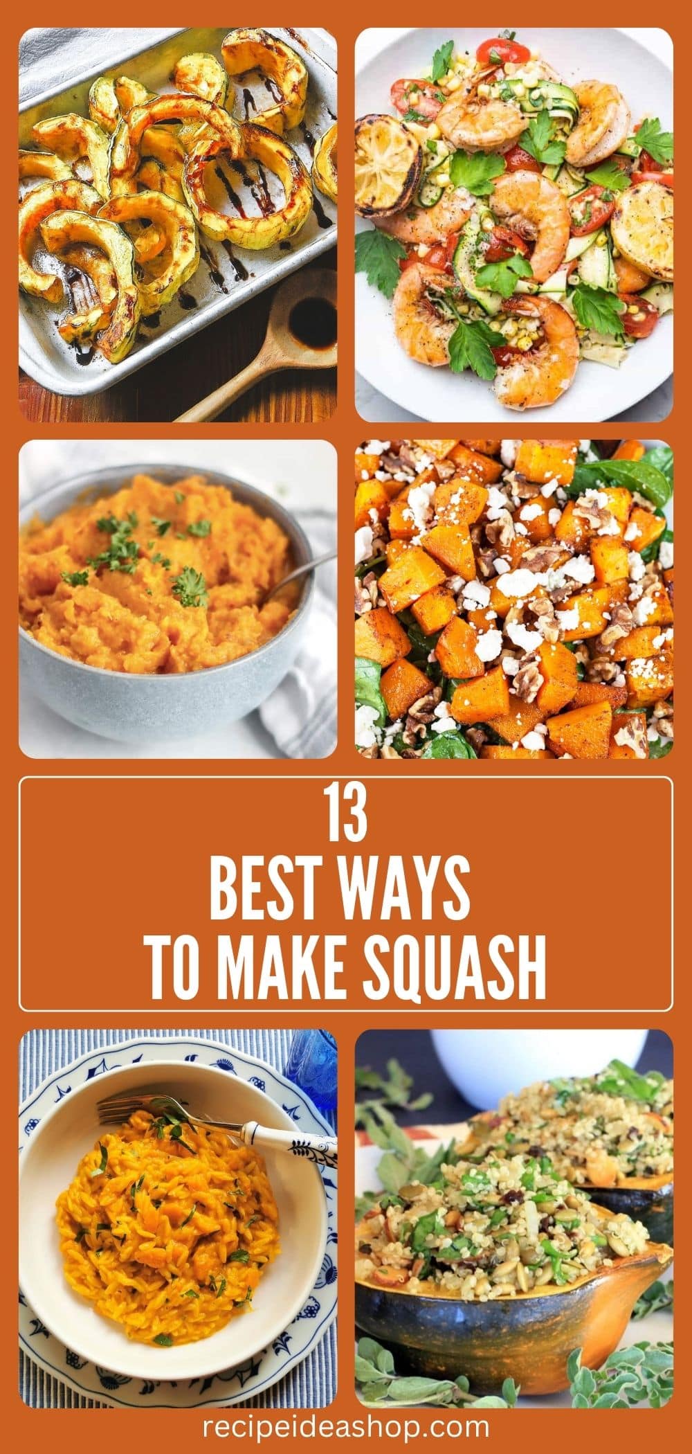 6 image collage with squash recipes