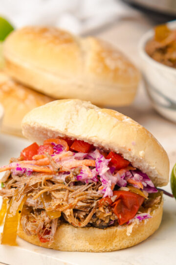 front view of Tex Mex Pulled Pork sandwich
