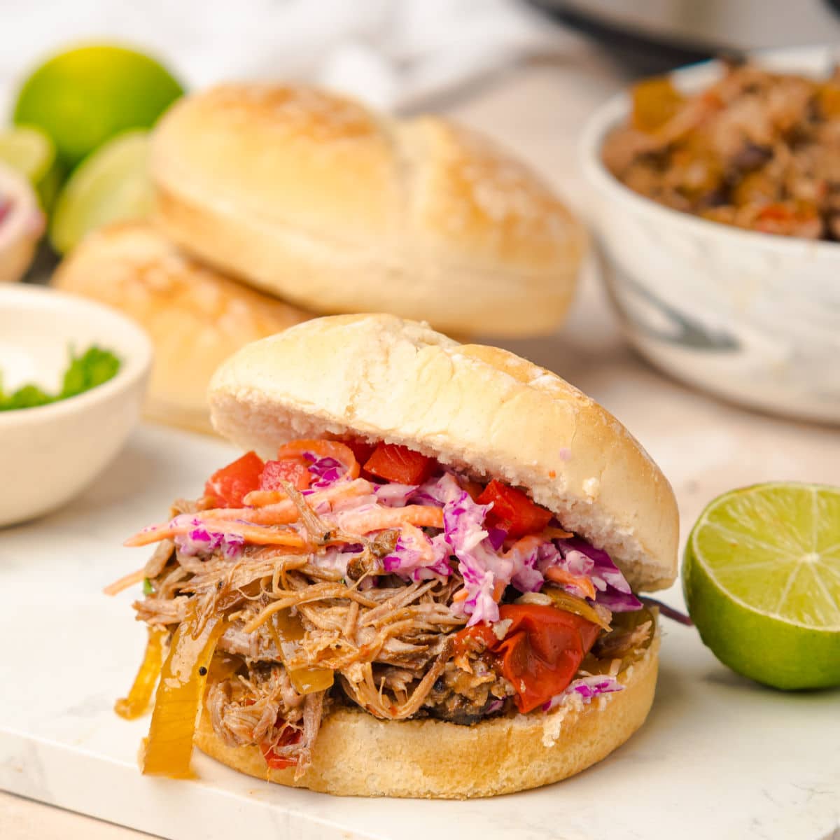 Tex Mex Pulled Pork front view image