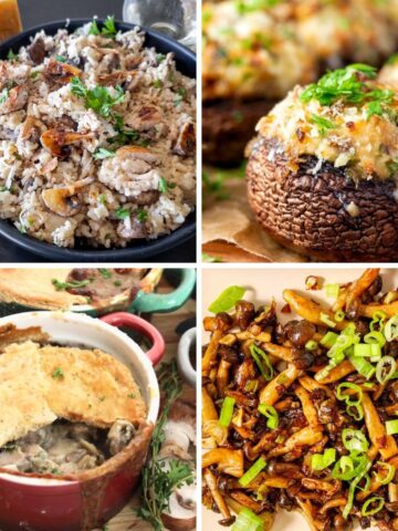 4 image collage with mushroom recipes