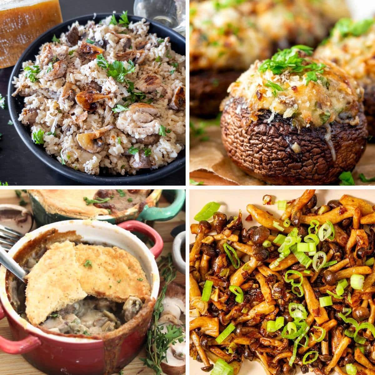 collage with 4 images mushroom recipes
