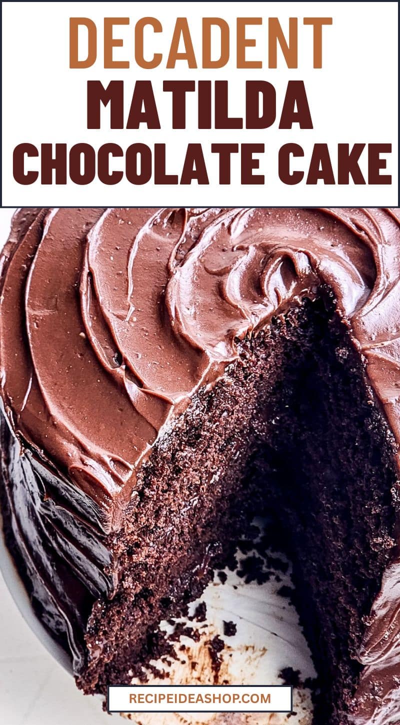 fudgey chocolate cake vertical image with text