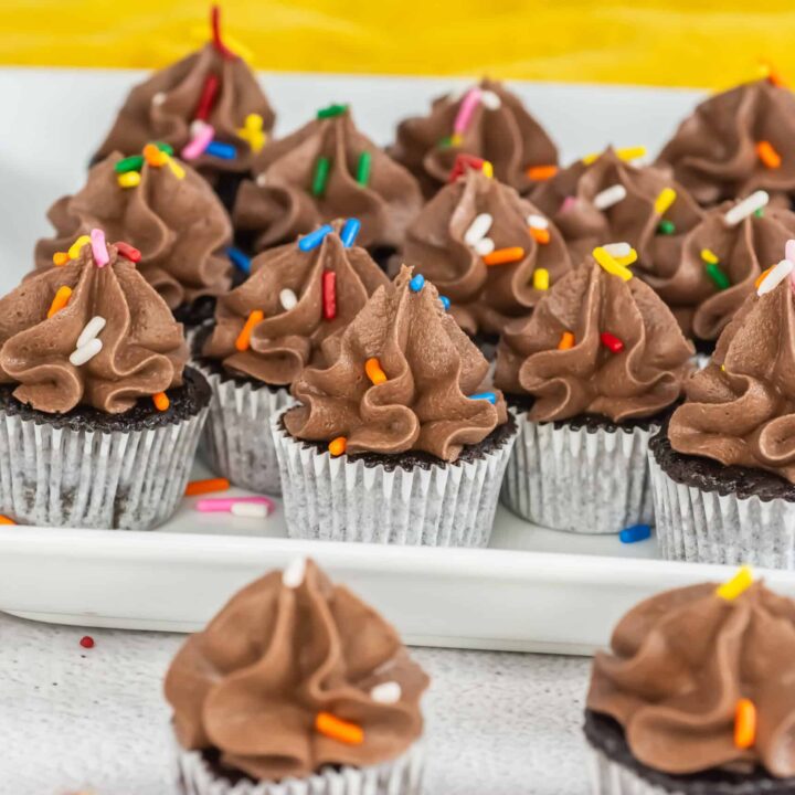 mini chocolate cupcakes