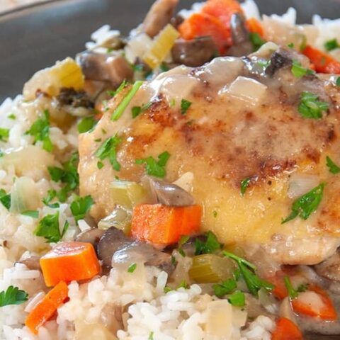 chicken fricassee