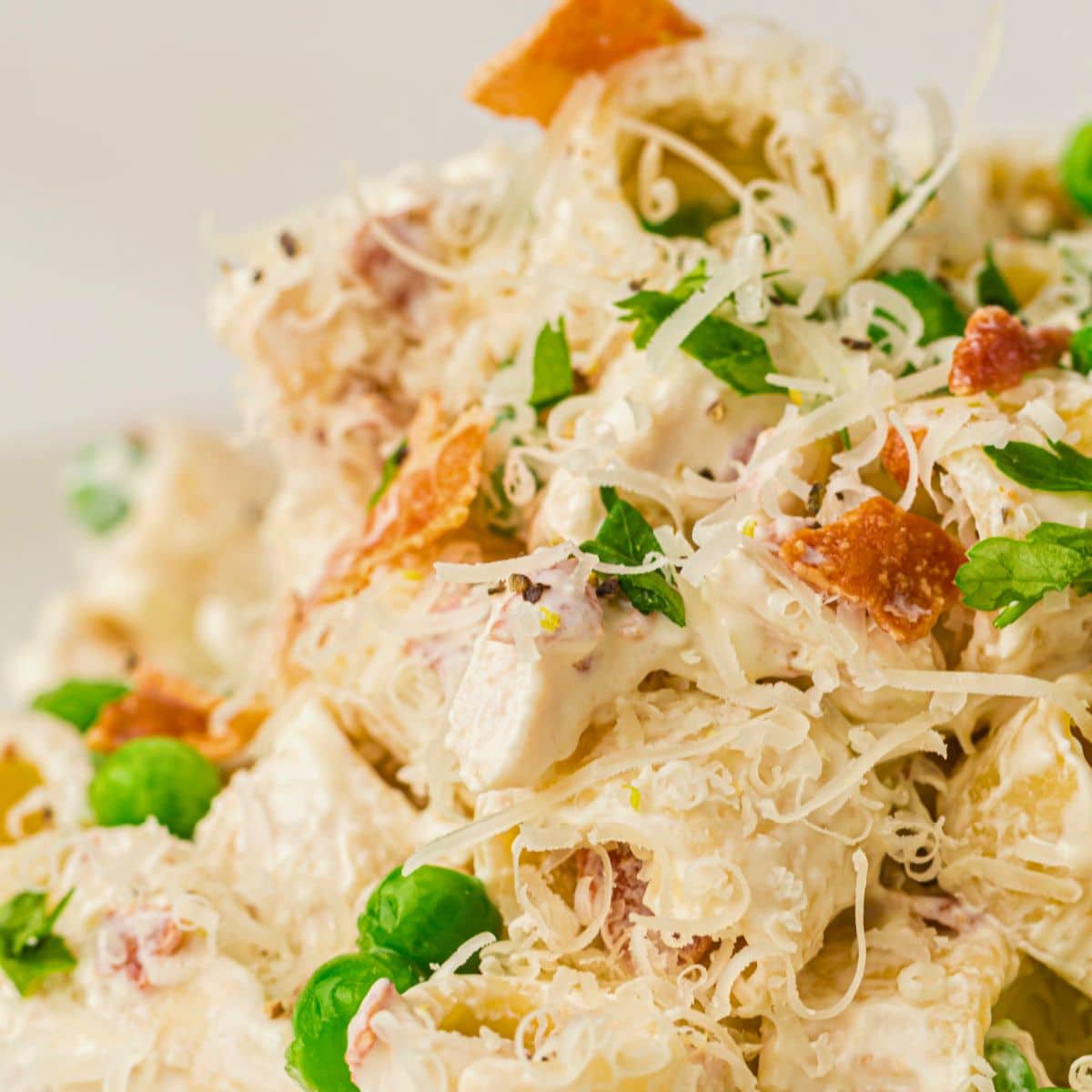 A close-up of a creamy chicken pasta with bacon and peas, featuring shredded cheese, green peas, chopped parsley, and chunks of chicken—all mixed together and finished with grated cheese and herbs.