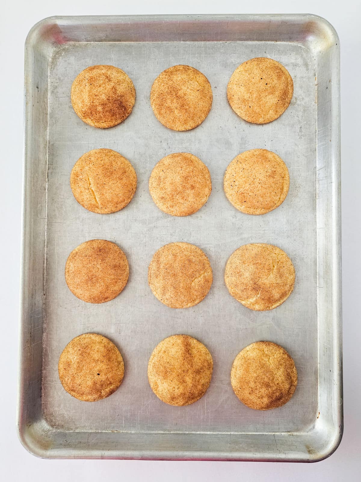 A baking sheet with twelve freshly baked snickerdoodle cookies, golden-brown and perfectly round, arranged in a 3 by 4 grid on a plain surface.