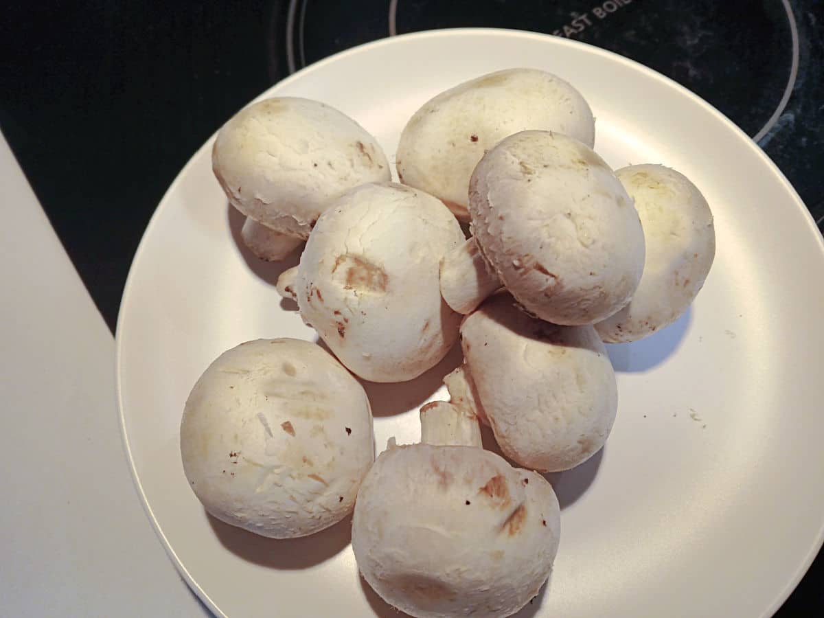 A white plate holds several whole white mushrooms, with one mushroom stem facing upward, ready to be transformed into delicious cream cheese stuffed mushrooms. The plate is set on a light surface next to a stovetop.