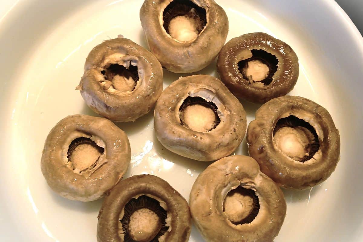 Eight raw, cleaned brown mushrooms arranged in a white bowl, ready to be prepared as cream cheese stuffed mushrooms.